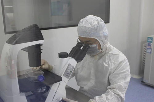 諾未科技 生命科學(xué)研究再創(chuàng)新，生物技術(shù)研發(fā)新突破